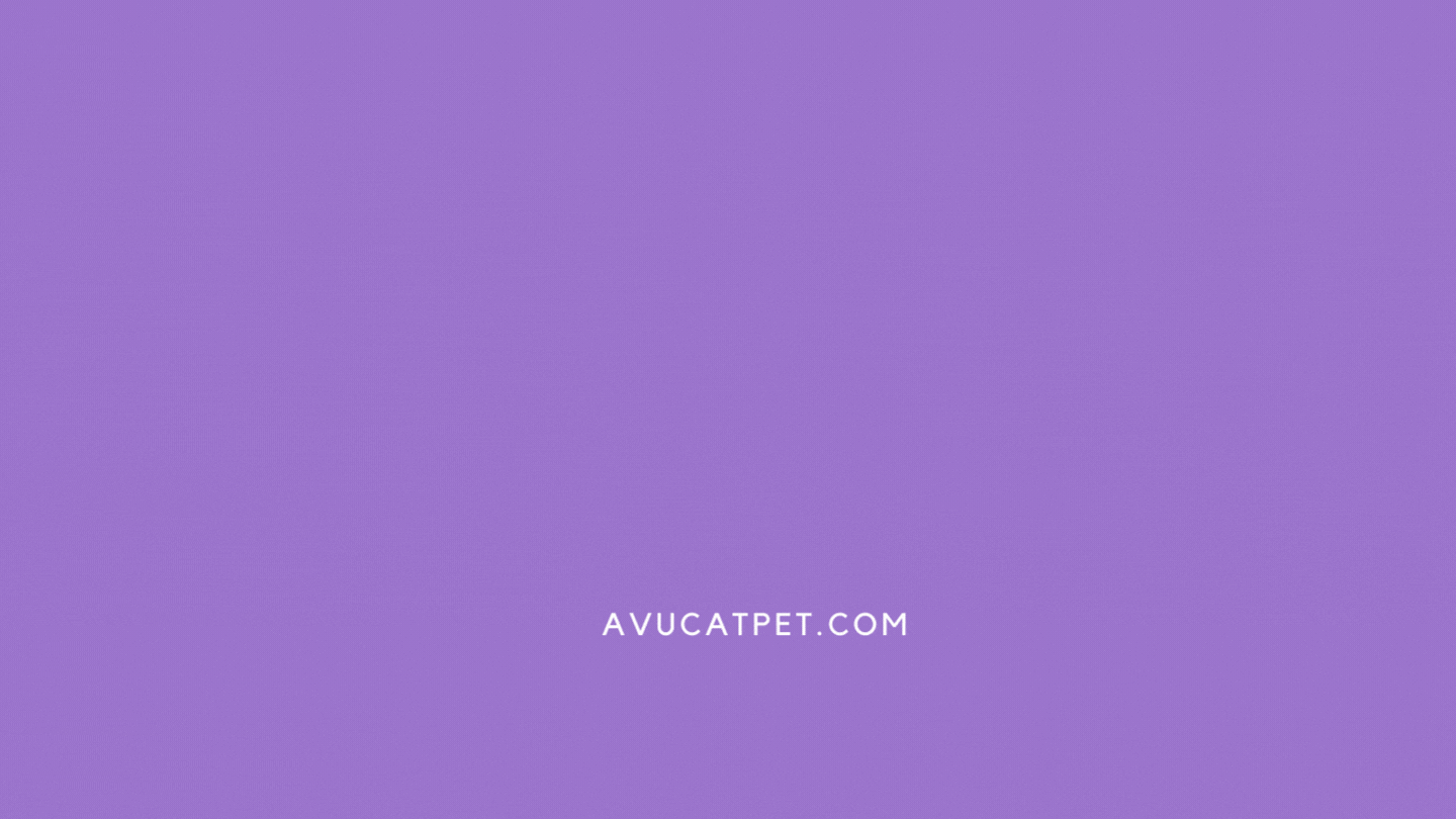 Ana Sayfa avucatpetgidf 2 - Ana Sayfa
