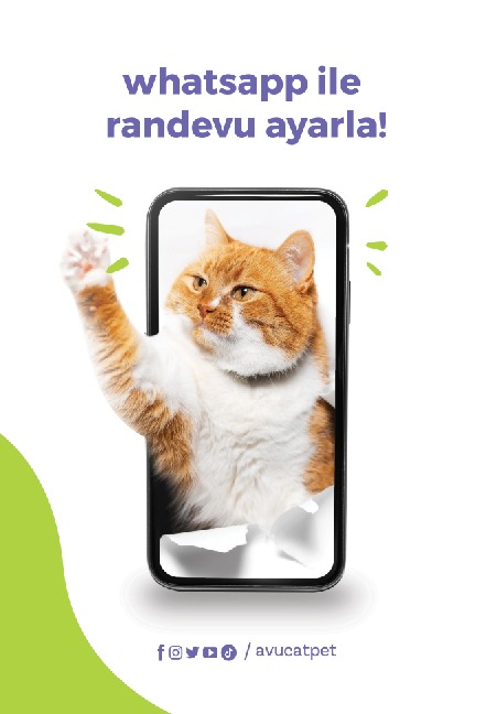 Avucat Pet Beauty