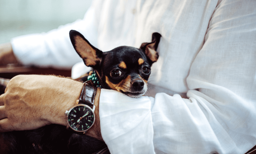 Ozon Terapisi 5515051a angelina litvin xtj4ztpd 8 unsplash 1 - Ozon Terapisi
